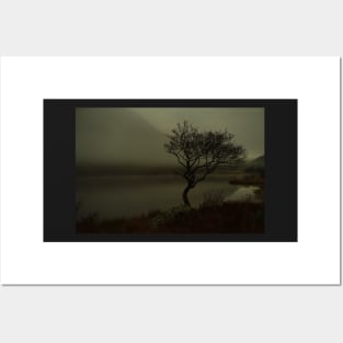 MIST OVER LLYN DINAS LONE TREE Posters and Art